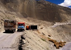 IN_001522_Ladakh_ (1).jpg