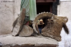 IN_001537_Ladakh_ (1).jpg