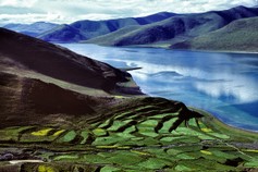 T_001444-1.jpg