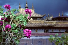 T_Lhasa---Jokhang_001225.jpg
