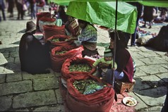 BO_le-foglie-di-coca-al-mercato.jpg