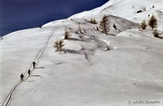 SA_002526.jpg