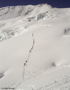 sa_002513_oberland-bernese.jpg
